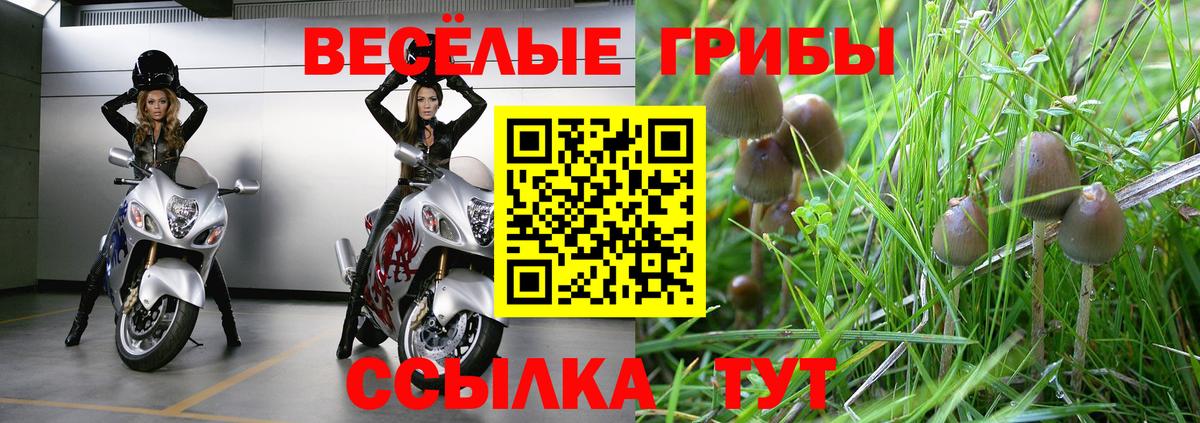 Шадринск  Галлюциногенные грибы ЛСД  Вход с VPN  Псилоцибиновые грибы Psilocybe 